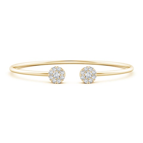 1.00 Carat
