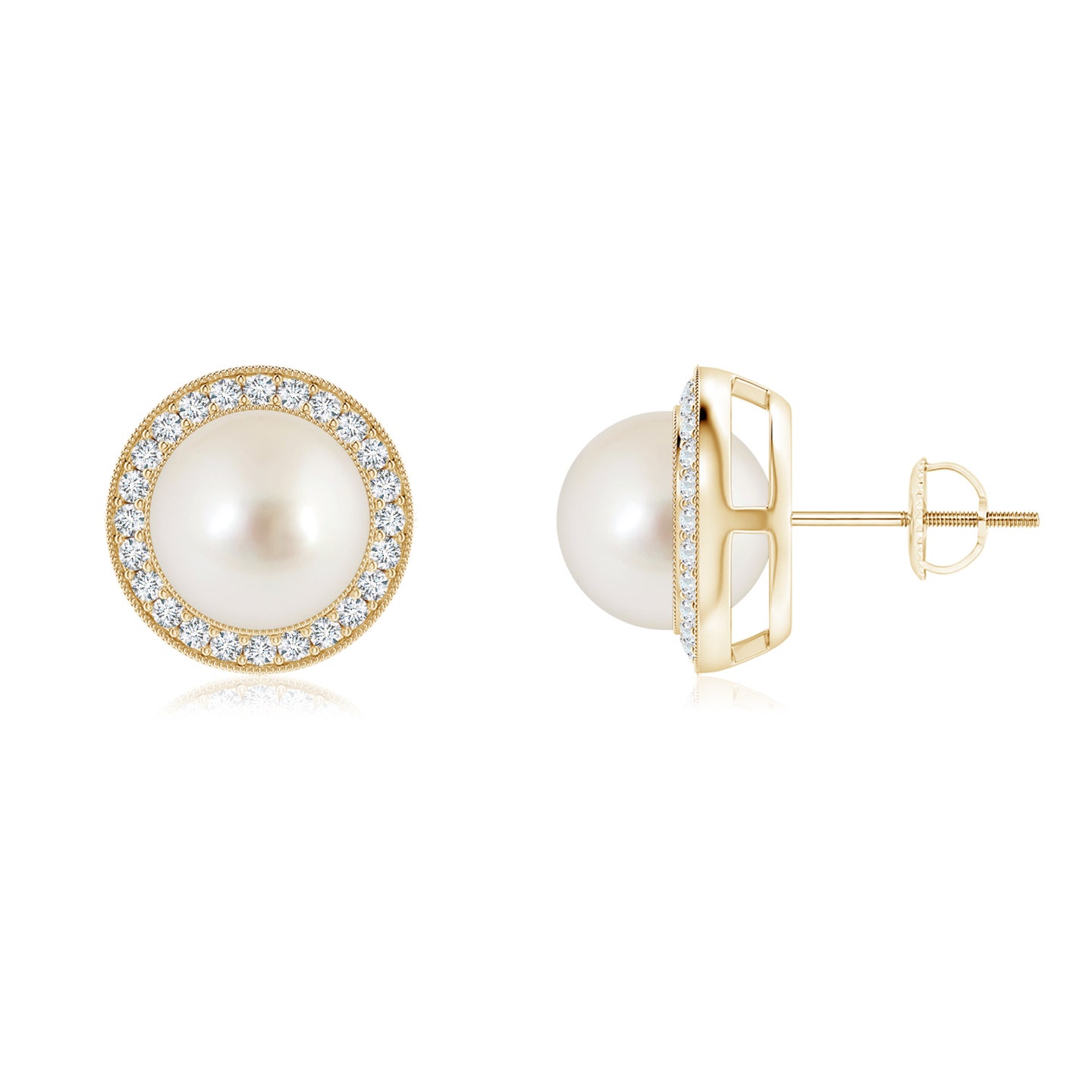 South Sea Pearl Halo Studs with Milgrain