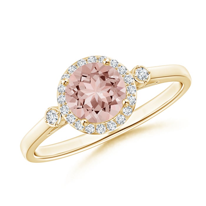 6mm AAAA Classic Prong-Set Round Morganite and Diamond Halo Ring in Yellow Gold 6mm AAAA Classic Prong-Set Round Morganite and Diamond Halo Ring in Yellow Gold